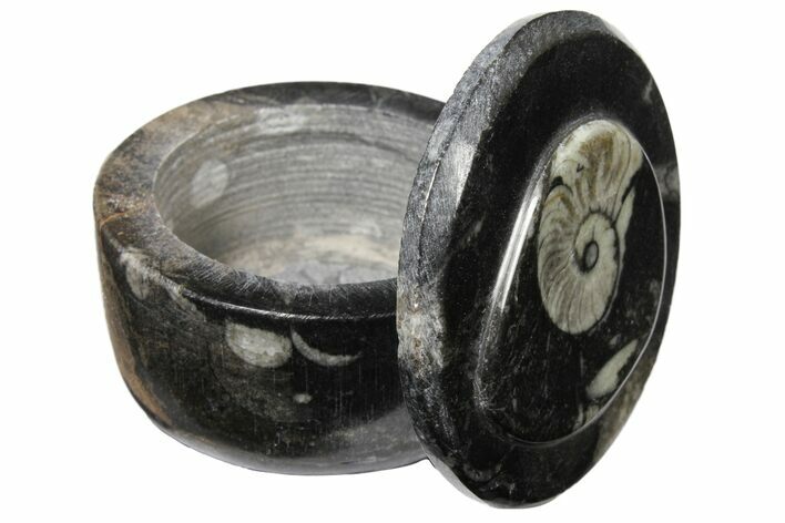 Small Fossil Goniatite Jar (Black) - Stoneware #123560